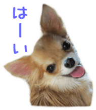 Sticker of Cereza sticker #13716386