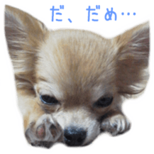 Sticker of Cereza sticker #13716387