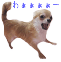 Sticker of Cereza sticker #13716390