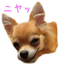 Sticker of Cereza sticker #13716391