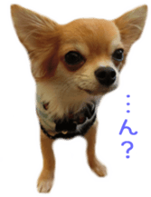 Sticker of Cereza sticker #13716392