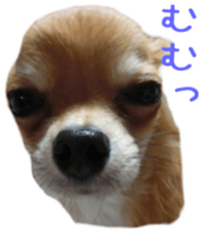 Sticker of Cereza sticker #13716394