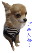 Sticker of Cereza sticker #13716396