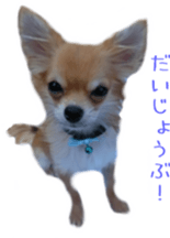 Sticker of Cereza sticker #13716397