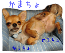 Sticker of Cereza sticker #13716398