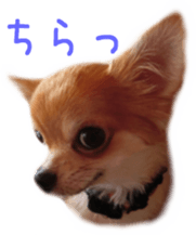 Sticker of Cereza sticker #13716399