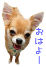 Sticker of Cereza sticker #13716401