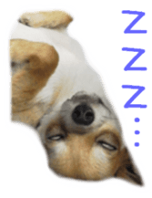 Sticker of Cereza sticker #13716403