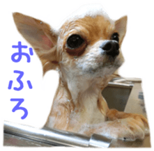 Sticker of Cereza sticker #13716404