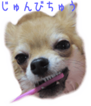 Sticker of Cereza sticker #13716405