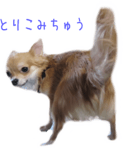 Sticker of Cereza sticker #13716406