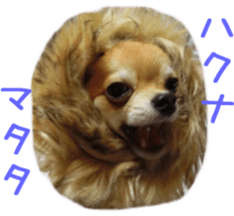 Sticker of Cereza sticker #13716407