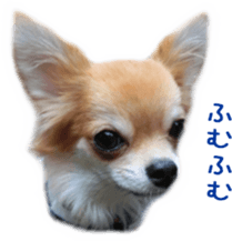 Sticker of Cereza sticker #13716412