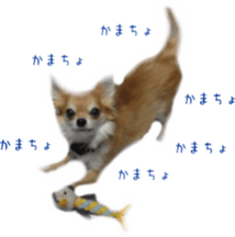 Sticker of Cereza sticker #13716413