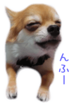 Sticker of Cereza sticker #13716416