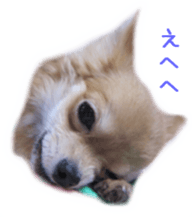 Sticker of Cereza sticker #13716417