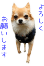 Sticker of Cereza sticker #13716418