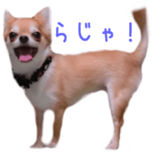 Sticker of Cereza sticker #13716420