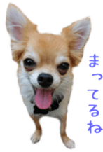 Sticker of Cereza sticker #13716421