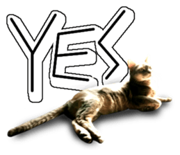 Abyssinian Sticker sticker #13719159