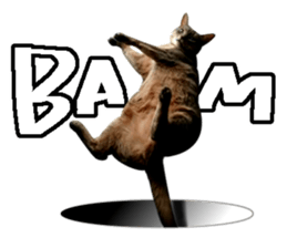 Abyssinian Sticker sticker #13719172