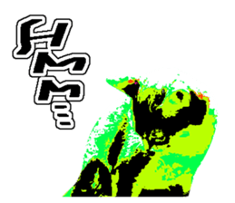 Abyssinian Sticker sticker #13719180