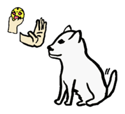 orange and dog sticker #13719462