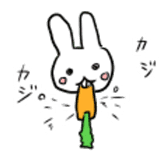 Kansai dialect rabbit"Kakipi" sticker #13719551