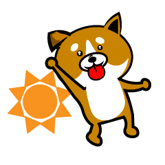 Sagging ear Shibatchi [Shiba Inu]