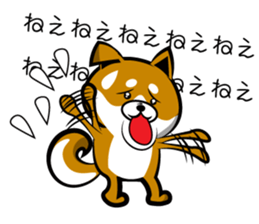 Sagging ear Shibatchi [Shiba Inu] sticker #13720200