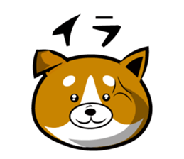 Sagging ear Shibatchi [Shiba Inu] sticker #13720203