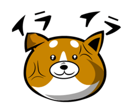 Sagging ear Shibatchi [Shiba Inu] sticker #13720204