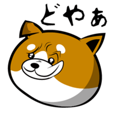 Sagging ear Shibatchi [Shiba Inu] sticker #13720209
