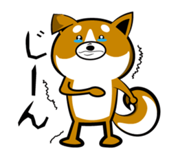 Sagging ear Shibatchi [Shiba Inu] sticker #13720210