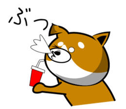 Sagging ear Shibatchi [Shiba Inu] sticker #13720213