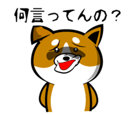 Sagging ear Shibatchi [Shiba Inu] sticker #13720214