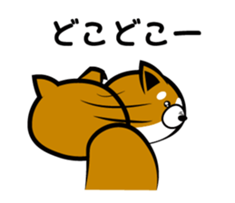 Sagging ear Shibatchi [Shiba Inu] sticker #13720215
