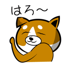 Sagging ear Shibatchi [Shiba Inu] sticker #13720218