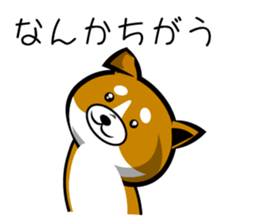 Sagging ear Shibatchi [Shiba Inu] sticker #13720220