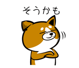 Sagging ear Shibatchi [Shiba Inu] sticker #13720224