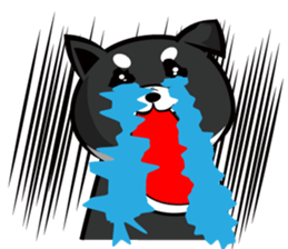 Sagging ear Shibatchi [Shiba Inu] sticker #13720226