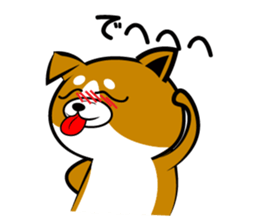 Sagging ear Shibatchi [Shiba Inu] sticker #13720227