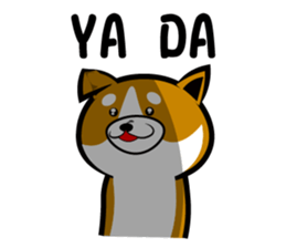 Sagging ear Shibatchi [Shiba Inu] sticker #13720229