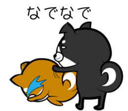 Sagging ear Shibatchi [Shiba Inu] sticker #13720232