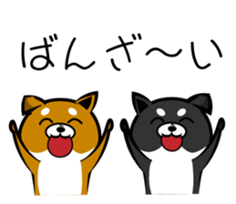 Sagging ear Shibatchi [Shiba Inu] sticker #13720234