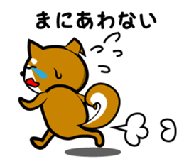 Sagging ear Shibatchi [Shiba Inu] sticker #13720235