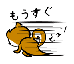 Sagging ear Shibatchi [Shiba Inu] sticker #13720236