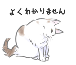 Anko&Hotate sticker #13721014