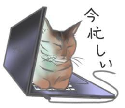 Anko&Hotate sticker #13721016