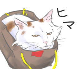 Anko&Hotate sticker #13721020